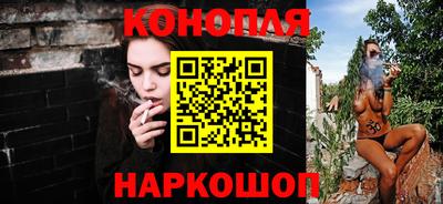 стафф Лесосибирск
