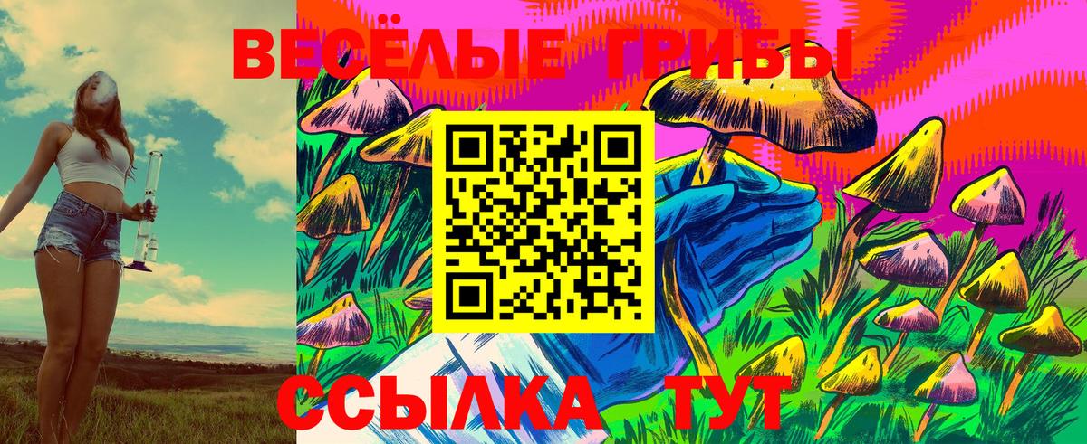 Галлюциногенные грибы мицелий  Вход с VPN  Южноуральск 