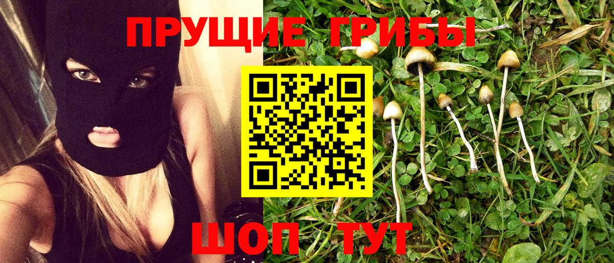 Псилоцибиновые грибы Cubensis Южноуральск
